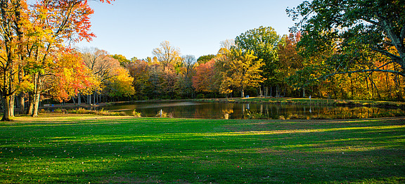 The IAS pond in autumn with the grass in front of the water and the foliage behind it.